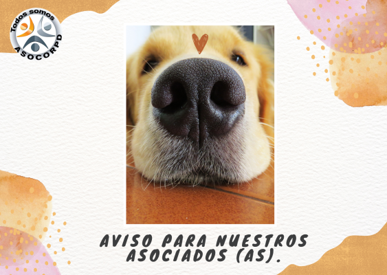 Estimados-Asociados-as