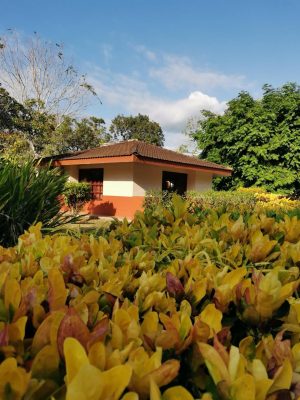 finca-recreo-cabaña-y-jardines