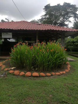 finca-recreo-circular-jardin