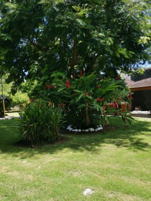 finca-recreo-jardines-decorativos
