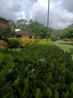 finca-recreo-jardines-y-cabañas