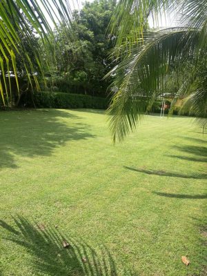 finca-recreo-zona-verde